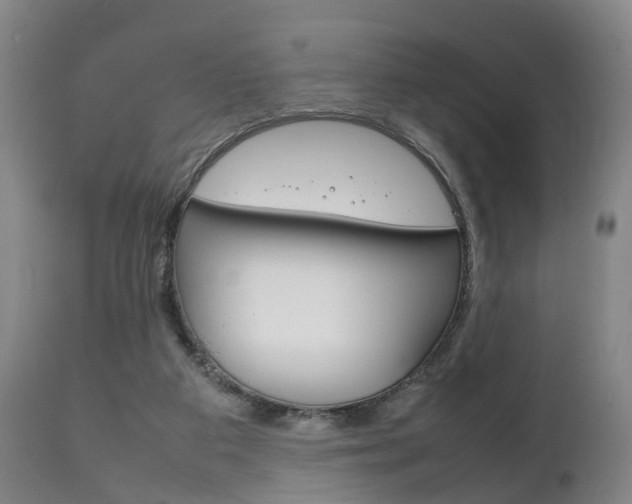 X0000111230113200907021034