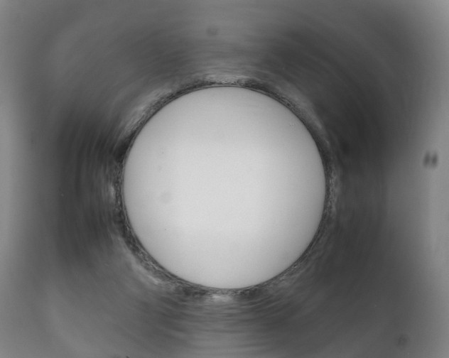 X0000111230114200907021034