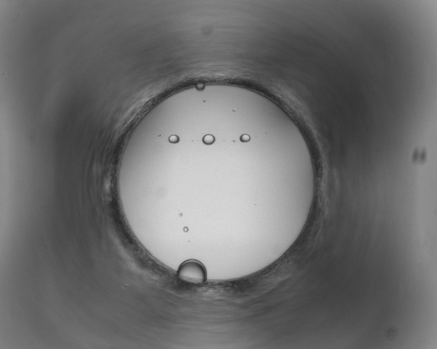 X0000111230115200907021034