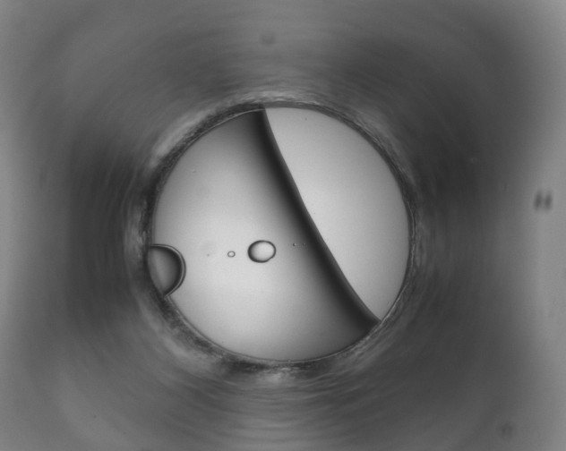 X0000111230116200907021034