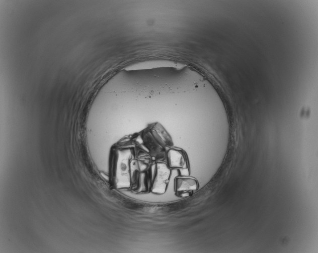 X0000111230117200907021034