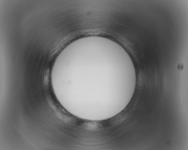 X0000111230118200907021034