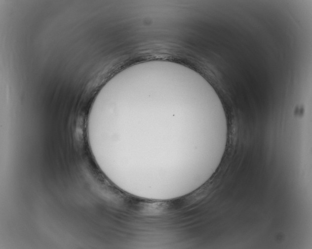 X0000111230122200907021034