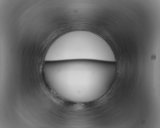 X0000111230124200907021033