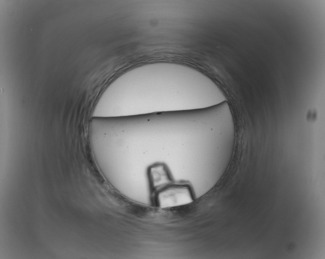 X0000111230125200907021033
