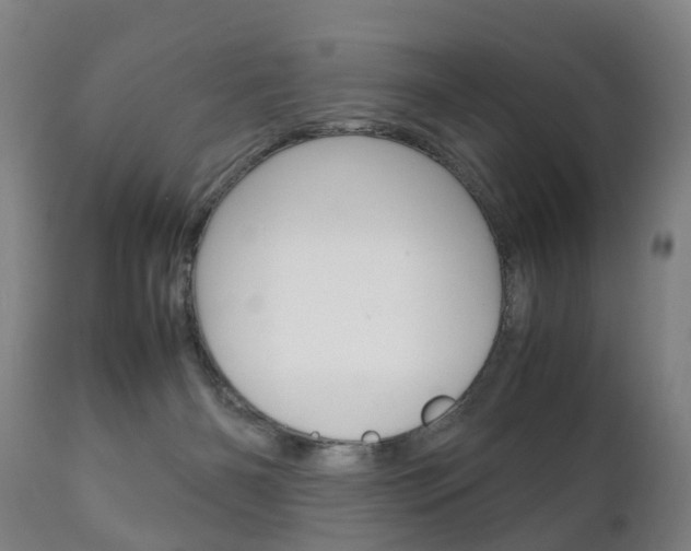 X0000111230126200907021033