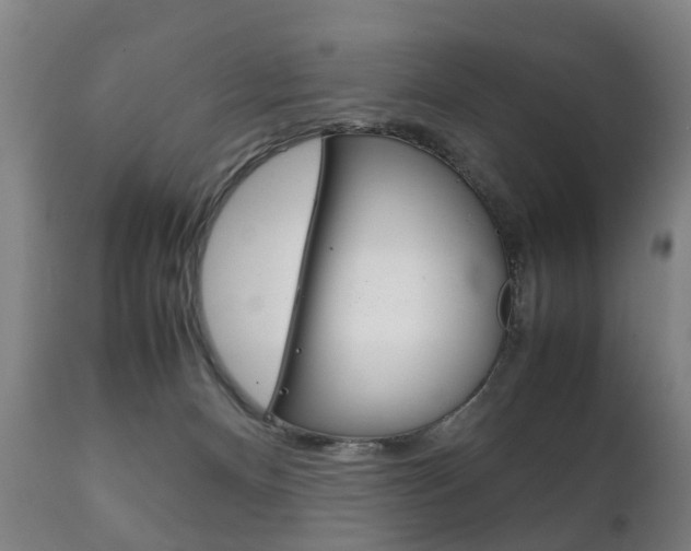X0000111230128200907021033