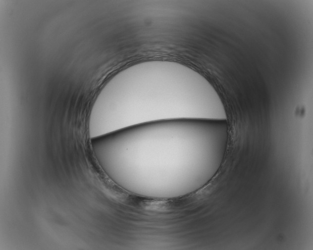 X0000111230132200907021033