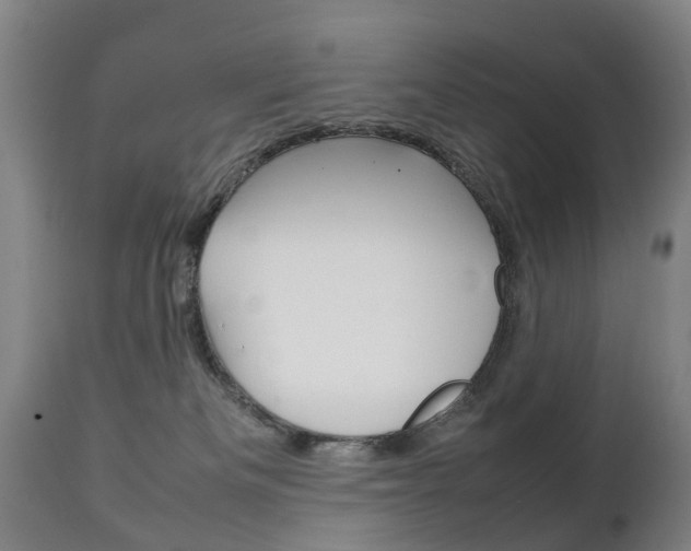 X0000111230133200907021033