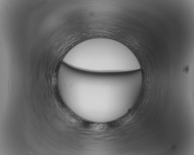 X0000111230135200907021033
