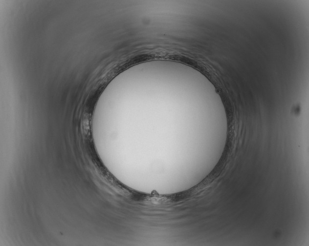 X0000111230137200907021033
