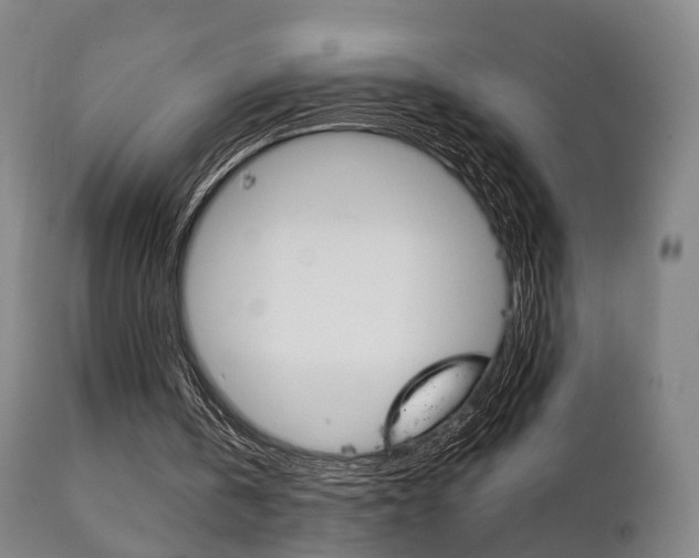 X0000111230146200907021032