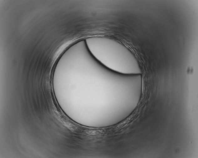 X0000111230147200907021032