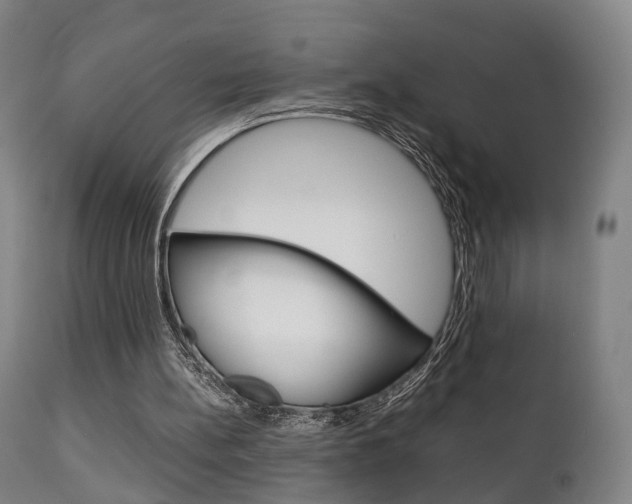X0000111230148200907021032