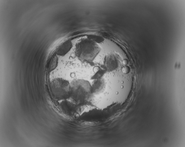X0000111230149200907021032
