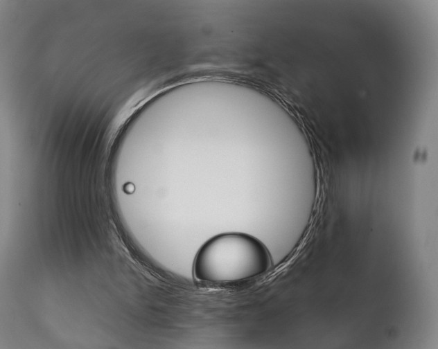 X0000111230150200907021032