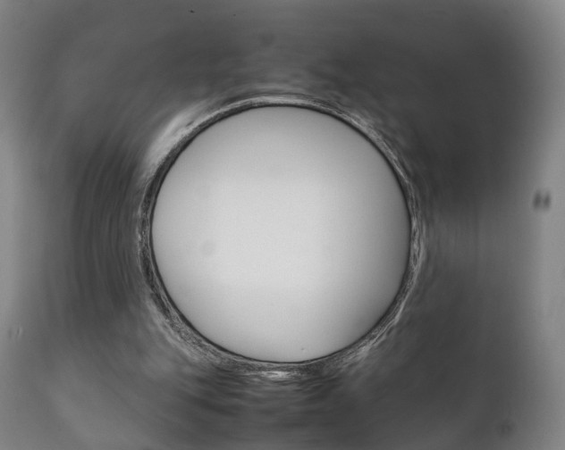 X0000111230151200907021032
