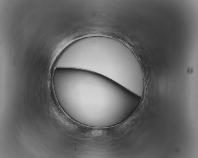 X0000111230152200907021032