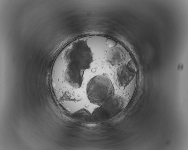 X0000111230153200907021032
