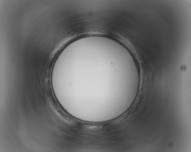 X0000111230155200907021032