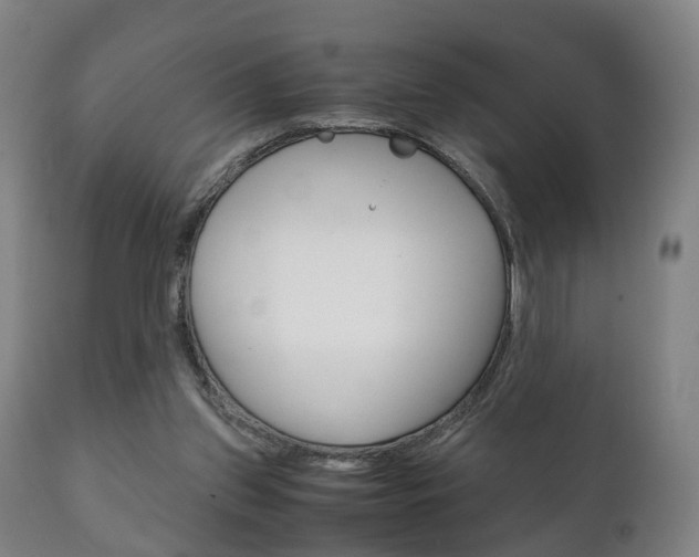 X0000111230157200907021033