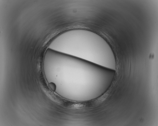 X0000111230158200907021033