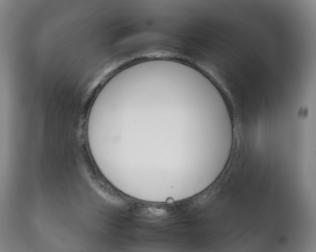 X0000111230159200907021033