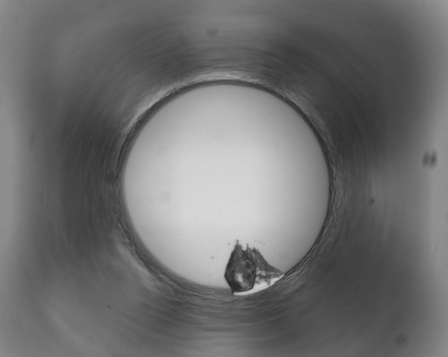 X0000111230160200907021033