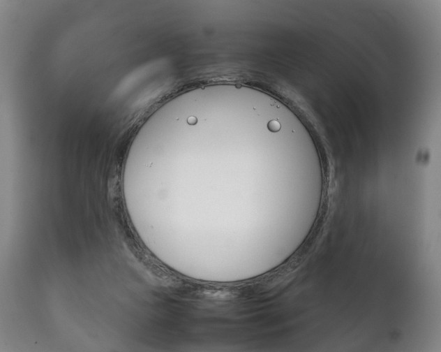 X0000111230161200907021033