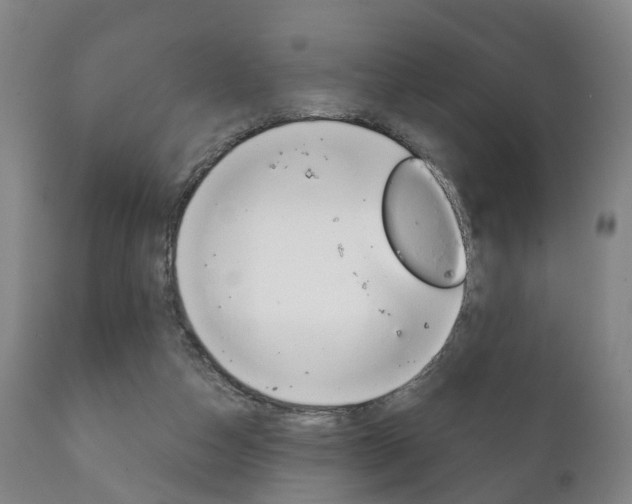 X0000111230162200907021033