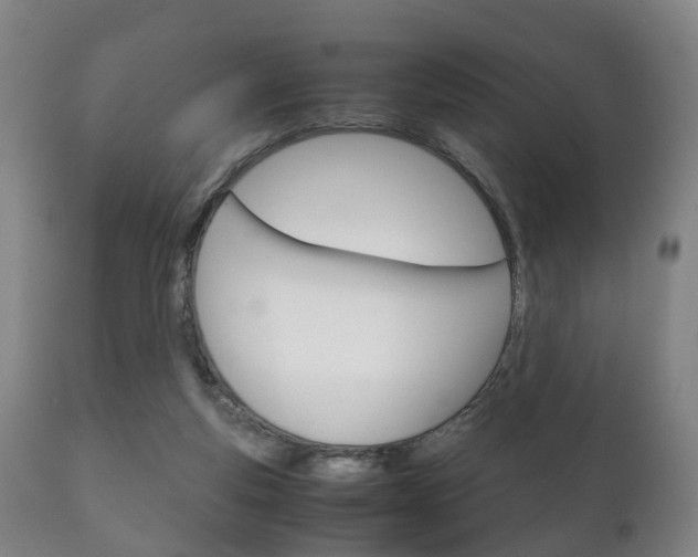 X0000111230163200907021033