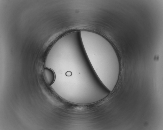 X0000111230164200907021033