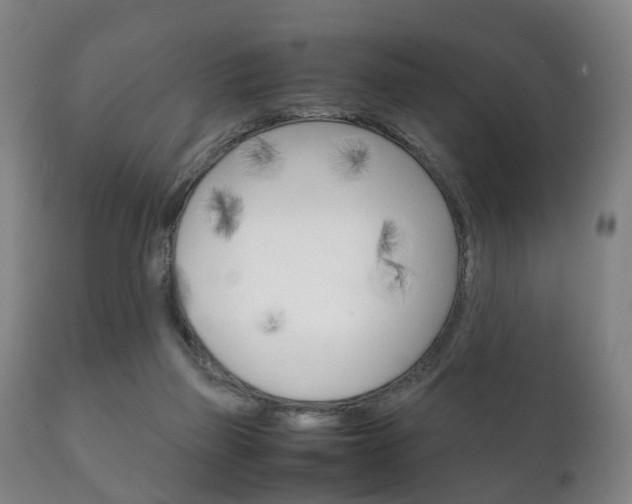 X0000111230165200907021033