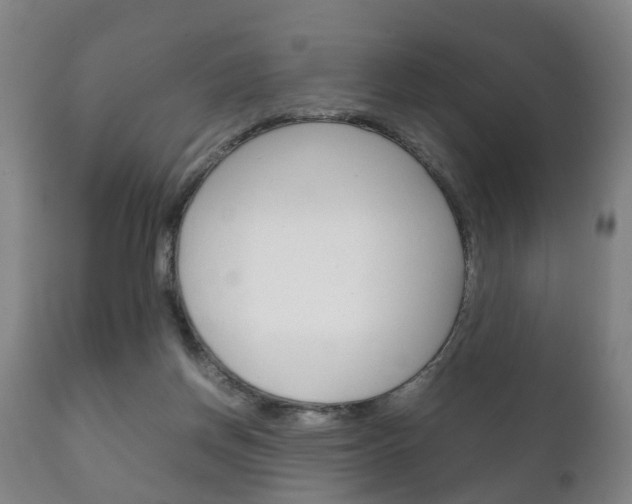 X0000111230166200907021033