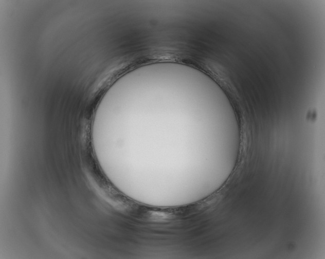 X0000111230167200907021033