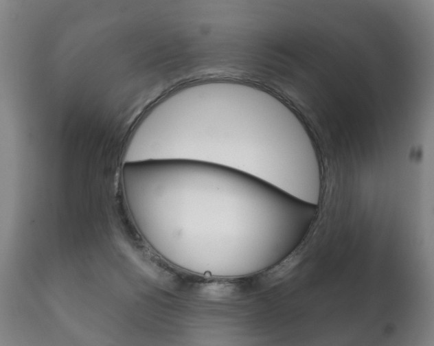 X0000111230168200907021033