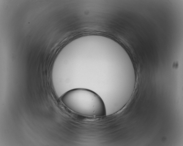 X0000111230170200907021033