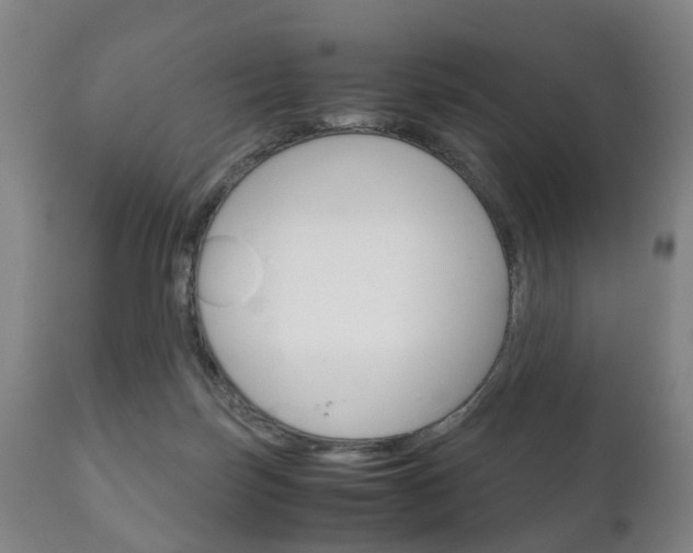 X0000111230171200907021033