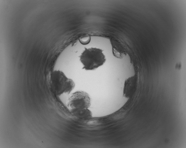 X0000111230173200907021033