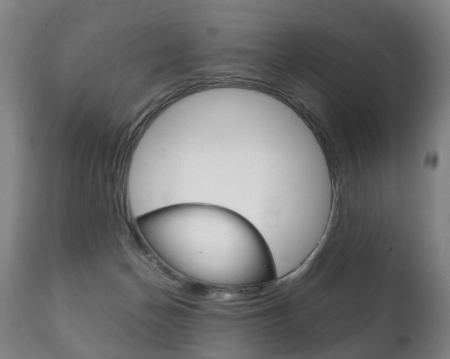 X0000111230174200907021033