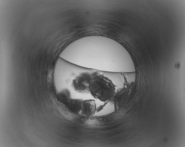 X0000111230177200907021033