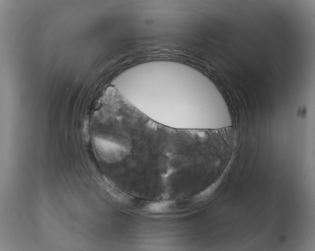 X0000111230178200907021033