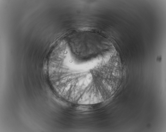 X0000111230179200907021033