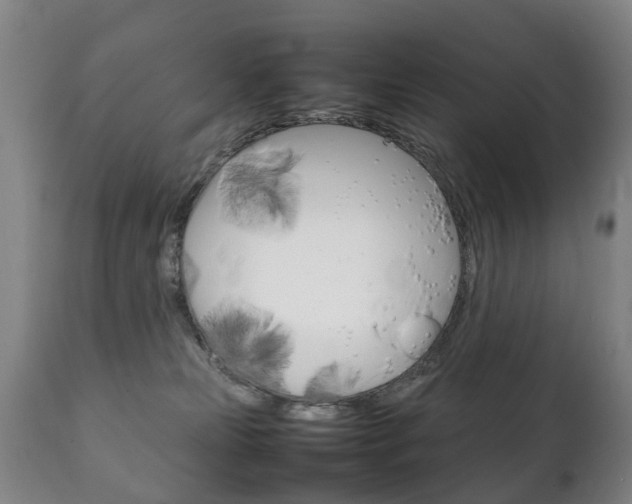 X0000111230181200907021033