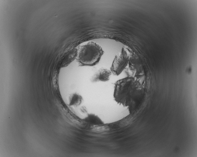 X0000111230185200907021033