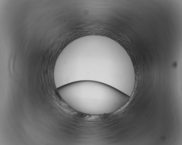 X0000111230186200907021033