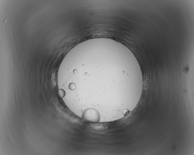 X0000111230187200907021033