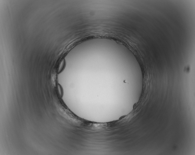 X0000111230188200907021033