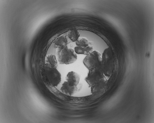 X0000111230189200907021033