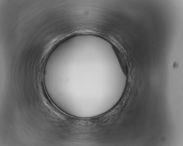 X0000111230193200907021032